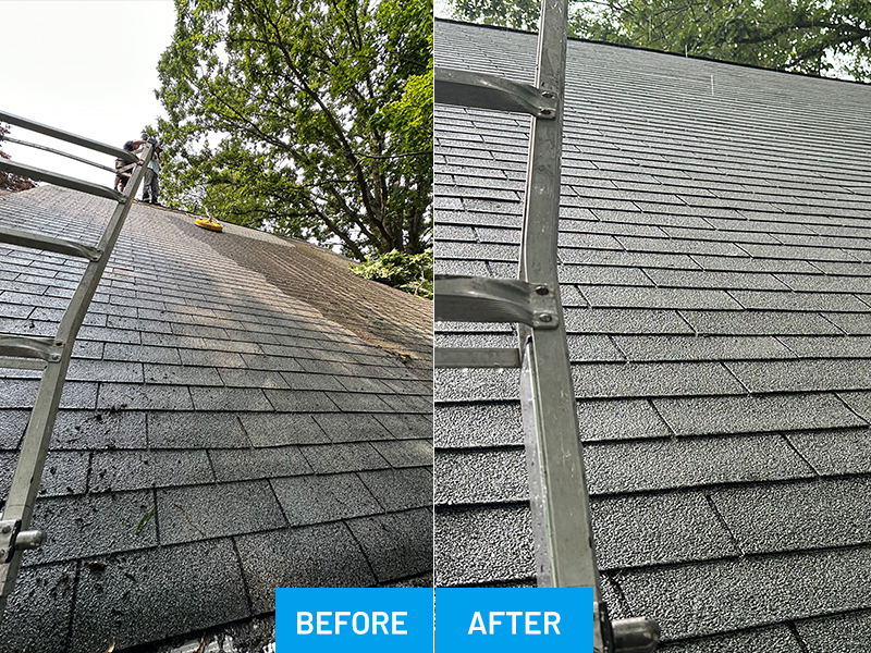 Power washing, Gutter cleaning, Carpet cleaning, Residential